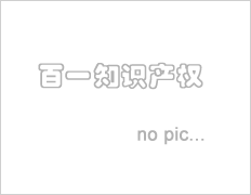 MIPSTAR中国东部专利服务排名第一梯队